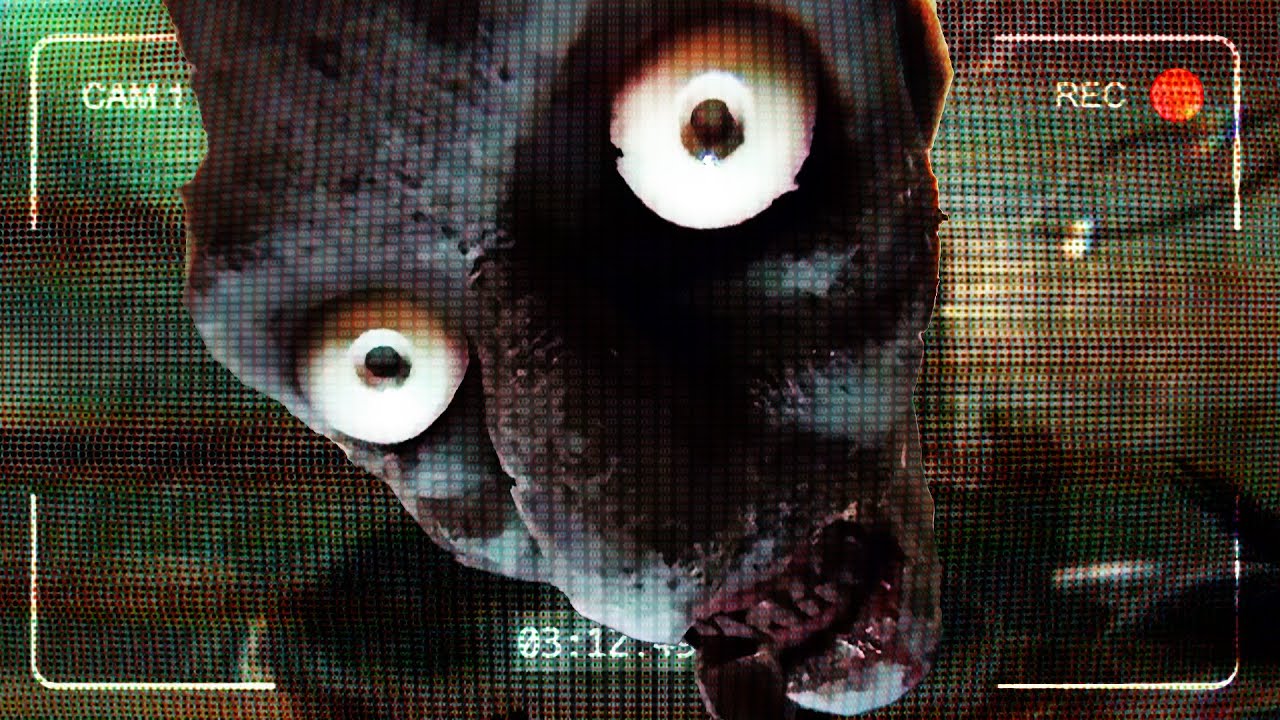 I'm on Observation Duty: LIVE thumbnail