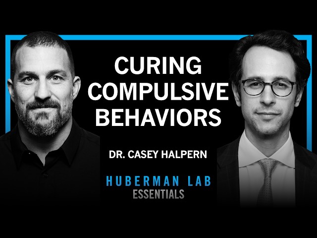 Essentials: Compulsive Behaviors & Deep Brain Stimulation | Dr. Casey Halpern thumbnail