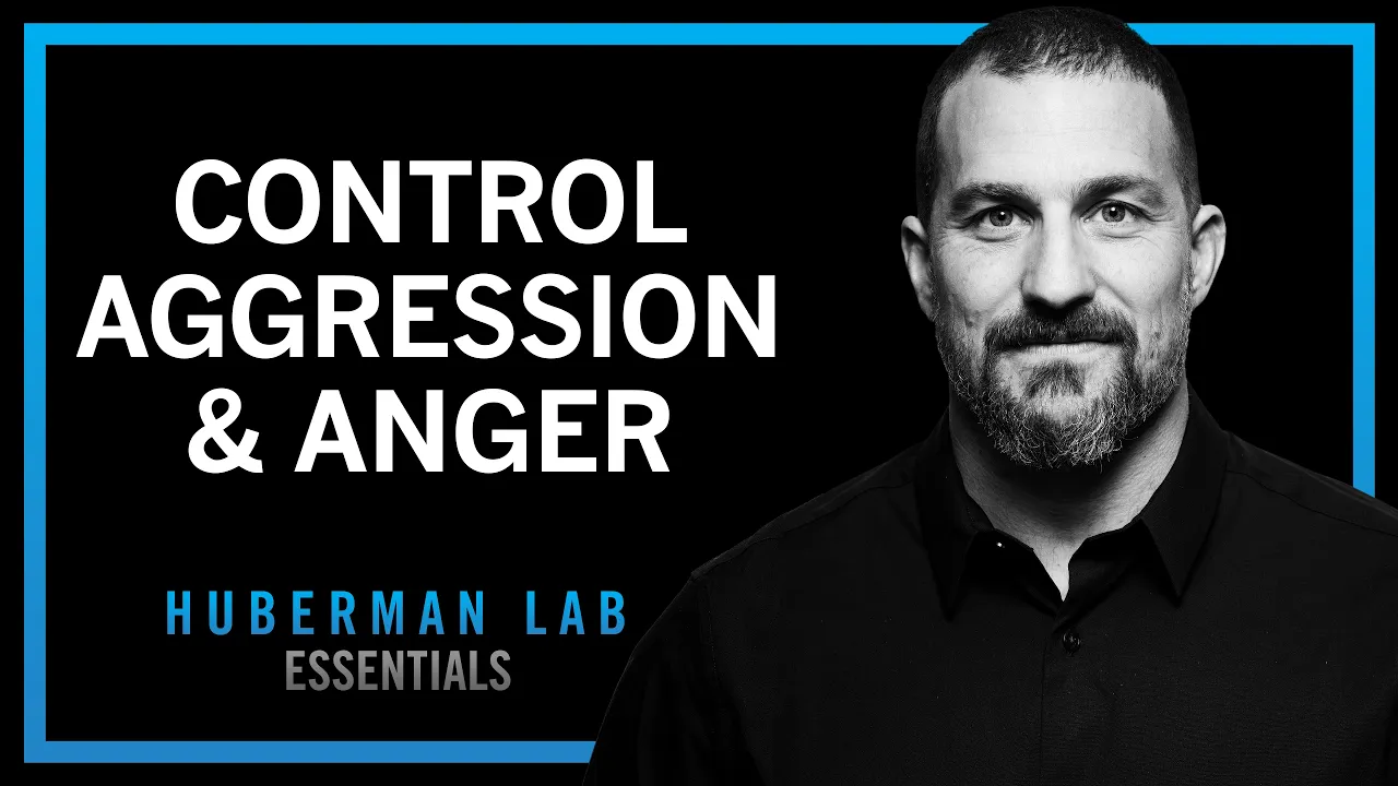 Understanding & Controlling Aggression | Huberman Lab Essentials thumbnail