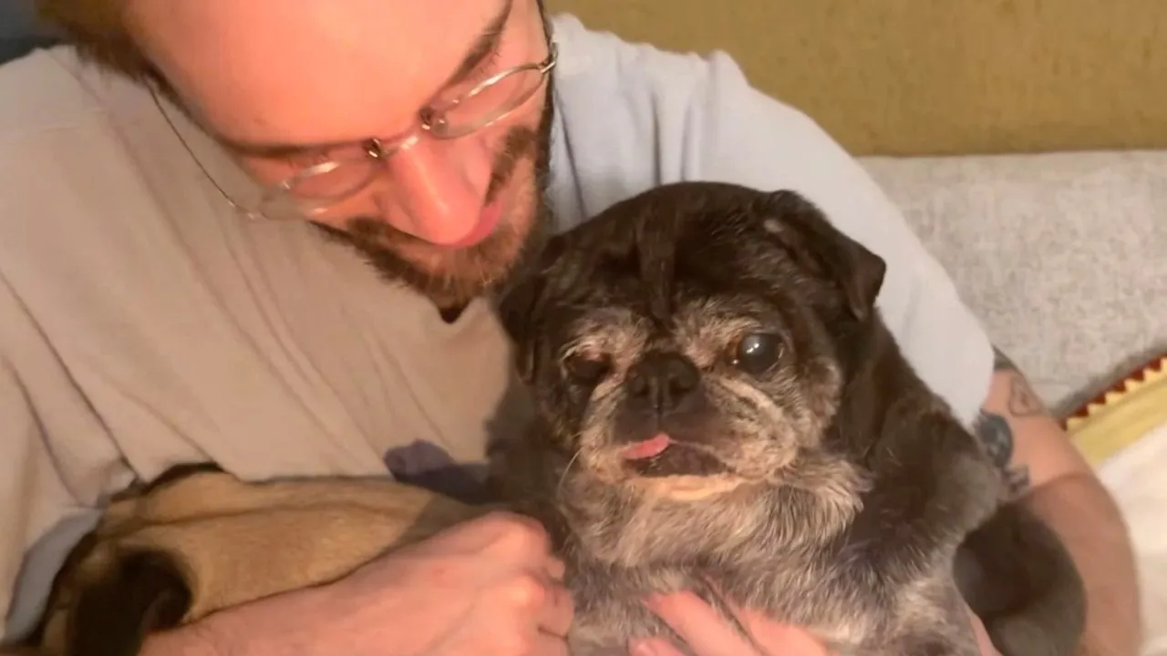 Our Old Man Is Getting Old thumbnail