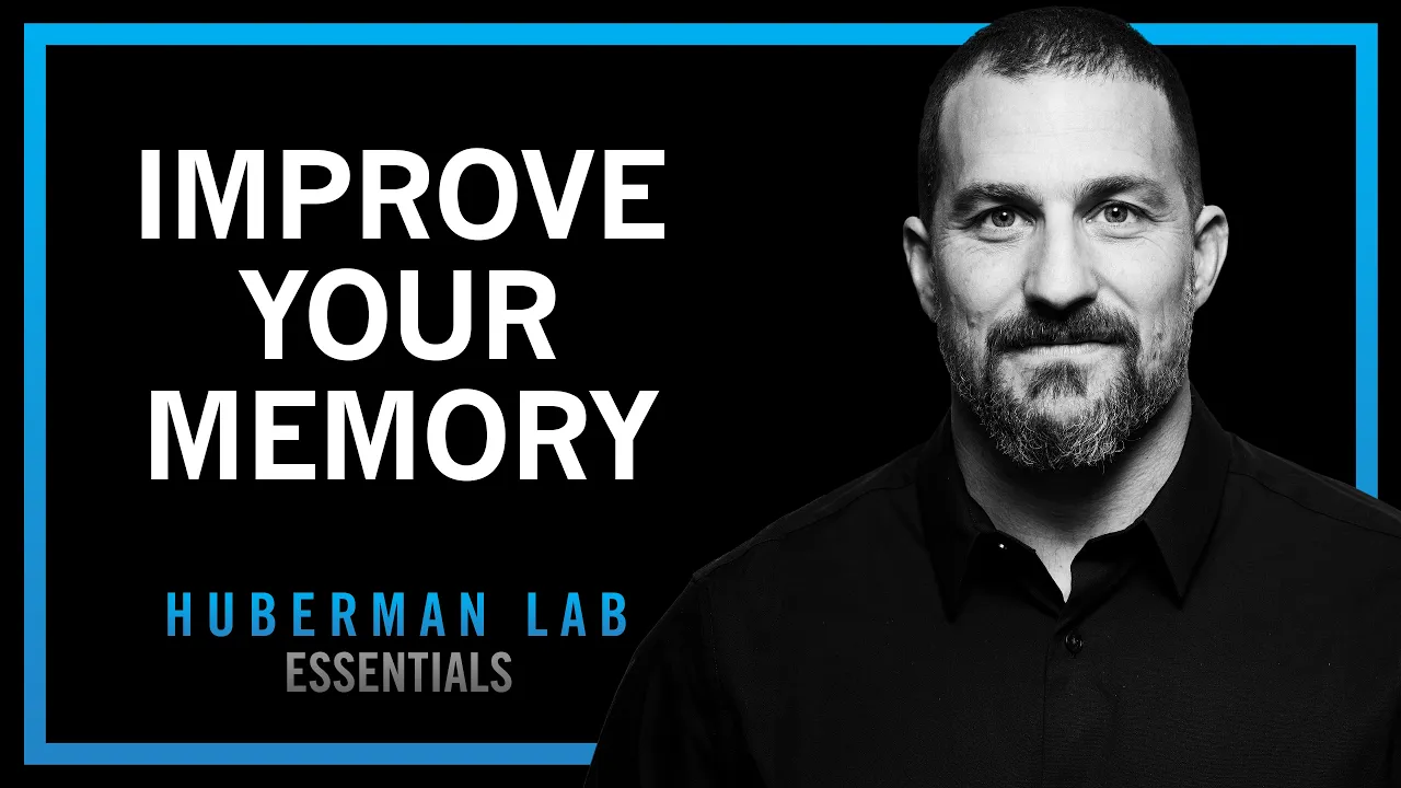 Understand & Improve Memory Using Science-Based Tools | Huberman Lab Essentials thumbnail