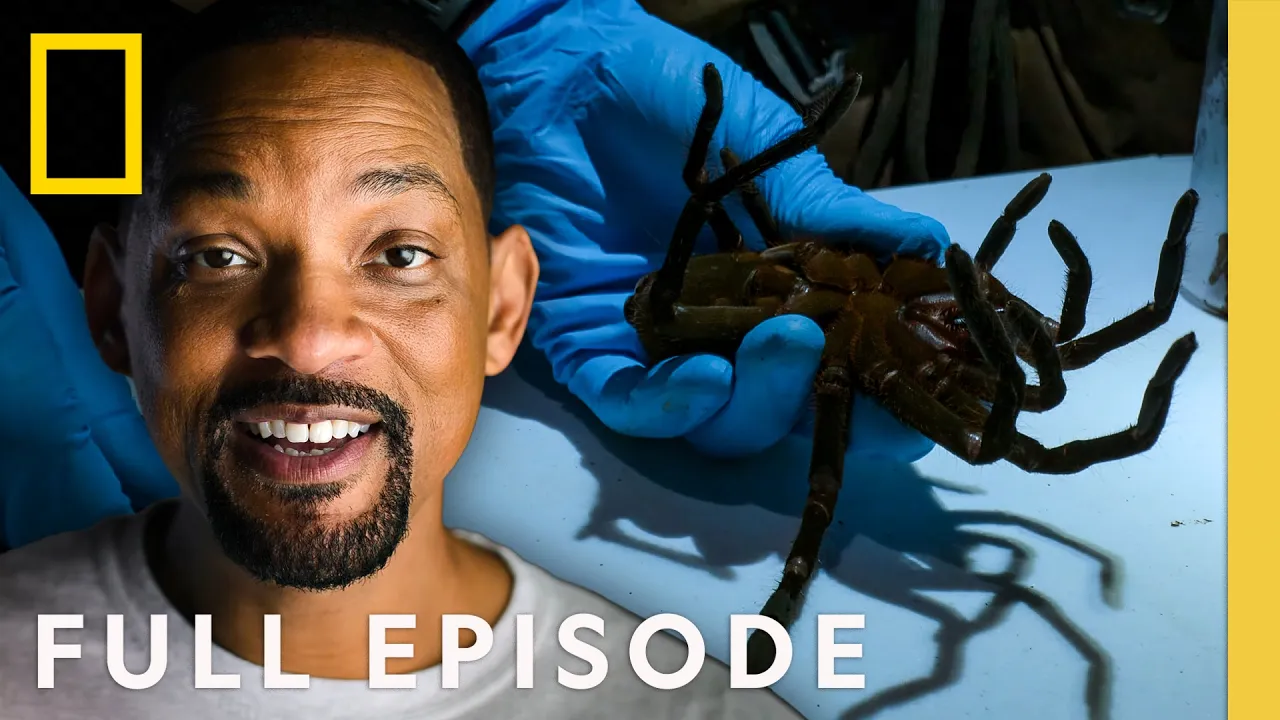 Encountering Deadly Spiders in The Amazon (Full Episode) | Pole to Pole with Will Smith | Nat Geo thumbnail