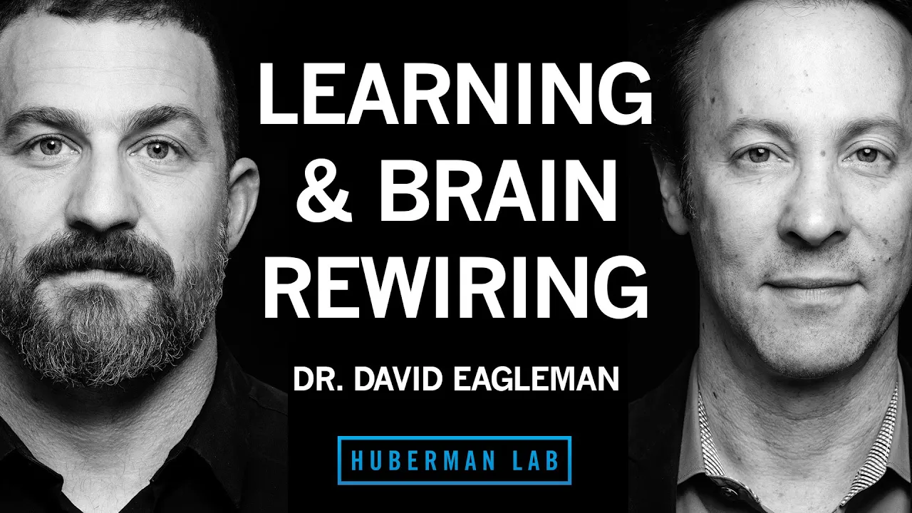 Science & Tools of Learning & Memory | Dr. David Eagleman thumbnail