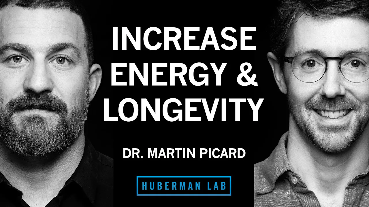 Improve Energy & Longevity by Optimizing Mitochondria | Dr. Martin Picard thumbnail