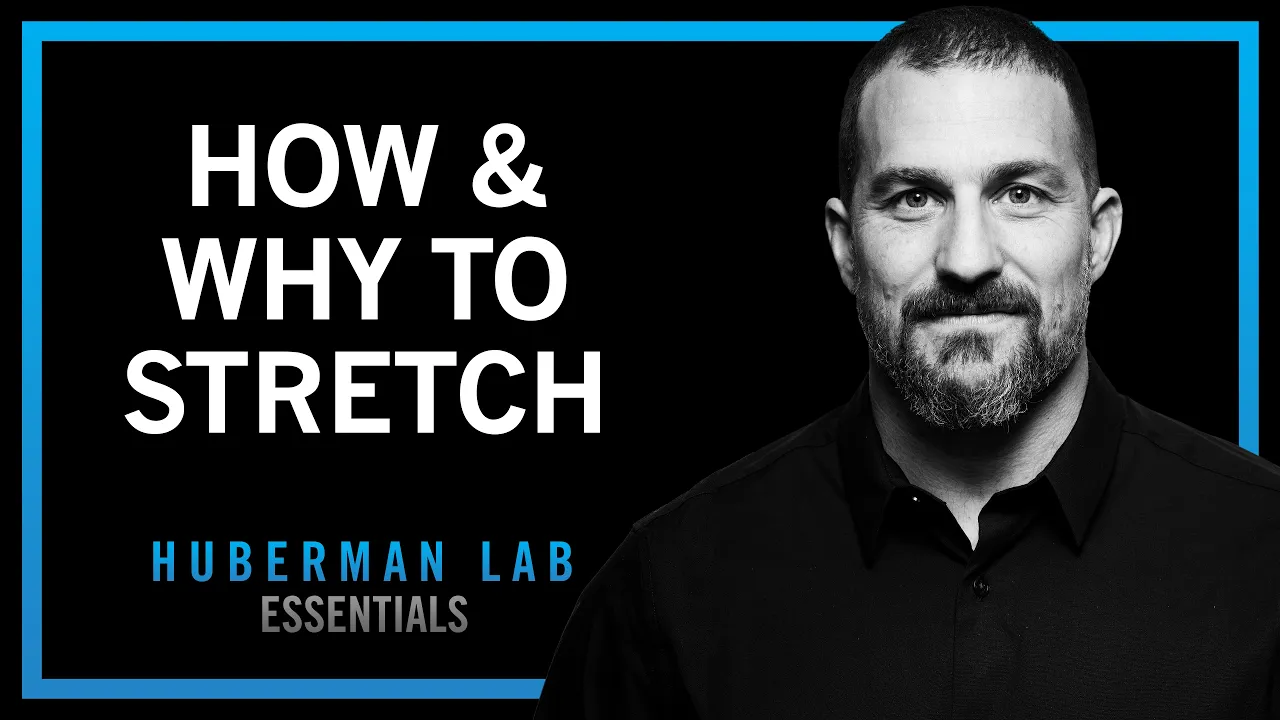 Improve Flexibility with Research-Supported Stretching Protocols | Huberman Lab Essentials thumbnail