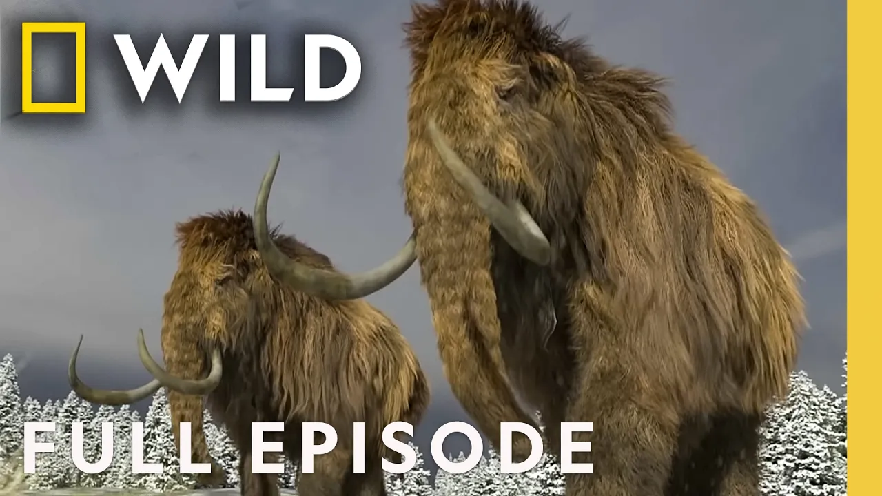Uncovering Mammoth Ice Age Extinctions (Full Episode) | Lost Beasts Unearthed | Nat Geo Animals thumbnail