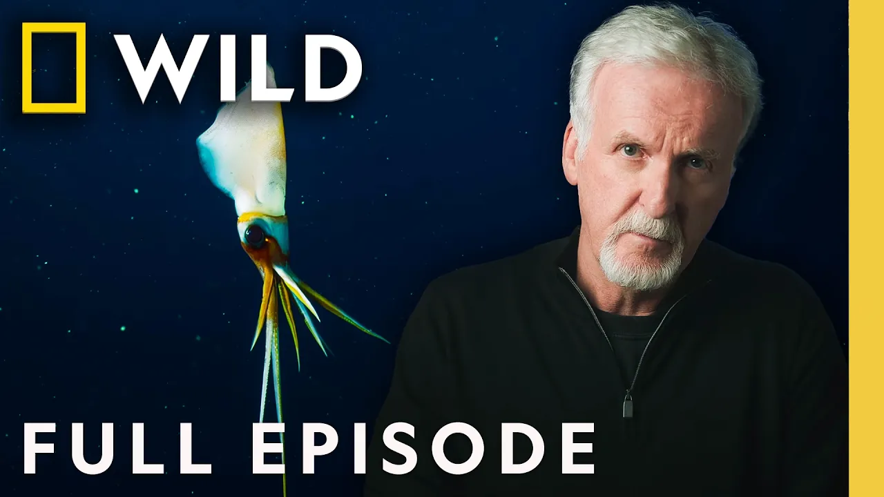 Giants of the Deep (Full Episode) | OceanXplorers | Nat Geo Animals thumbnail