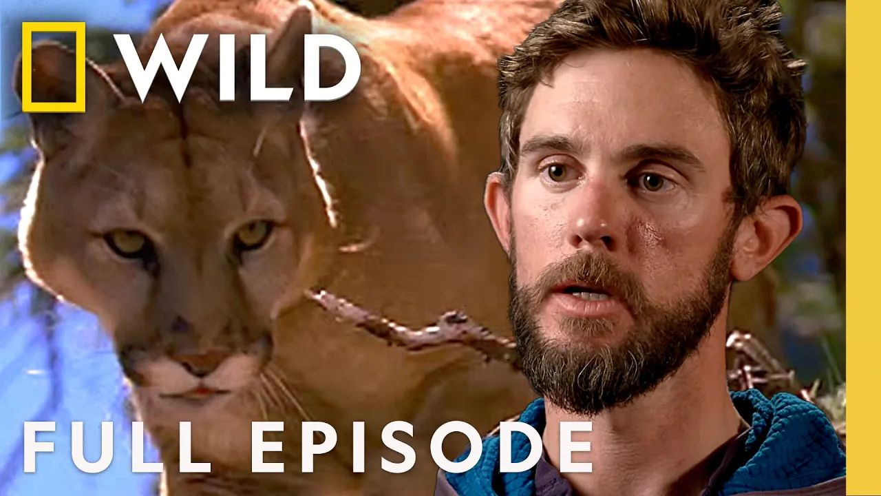 Watch Out! (Full Episode) | Hunter vs. Hunted | Nat Geo Animals thumbnail
